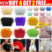 1M Qualità Piuma di Struzzo