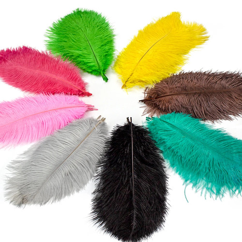 Piume struzzo colorate - struzzo,