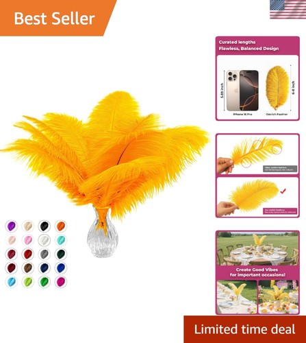 Pezzi piume struzzo oro - 20,