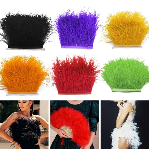 Colori piuma struzzo - di,