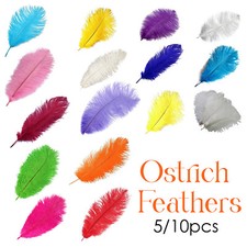 Piume Di Struzzo Naturali Set