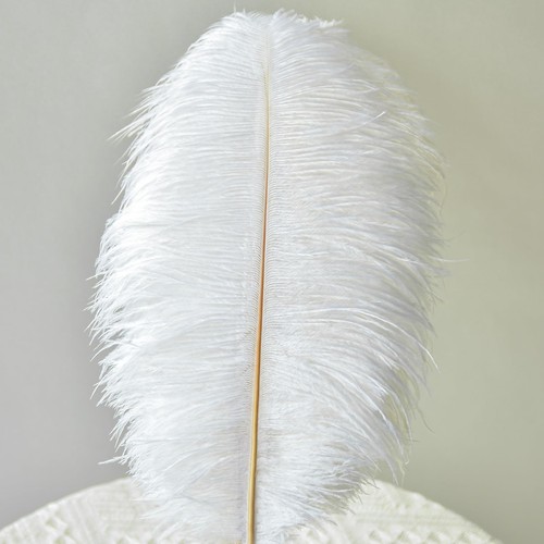 Bianco pezzi piume - bianco, 30