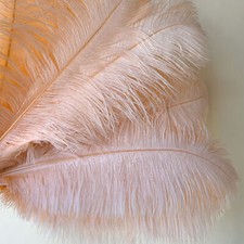 10 Pz Piume Di Struzzo