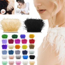 1m 35 Colori Piuma di Struzzo