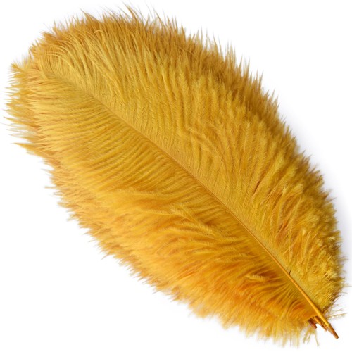 Pezzi piume struzzo - pezzi,