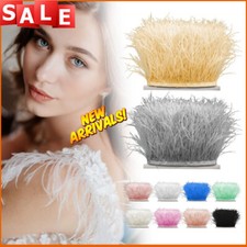 1m Piuma di Struzzo Frange