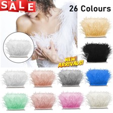 1m Piuma di Struzzo Frange