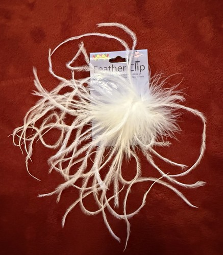 Fermaglio per capelli piuma
