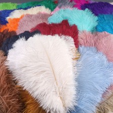 Confezione 10 Pennacchi