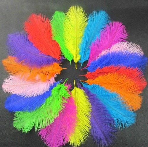 10pcs piume struzzo - 10pcs,