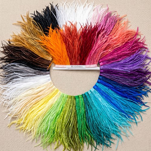 Colori nastro frangia in - 64,