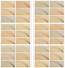 Piuma di struzzo a righe per